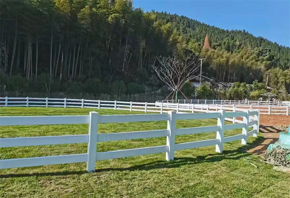 65e03883f403c.jpg be7ae6e4ff402a907ab5f08d4d55e73.jpg